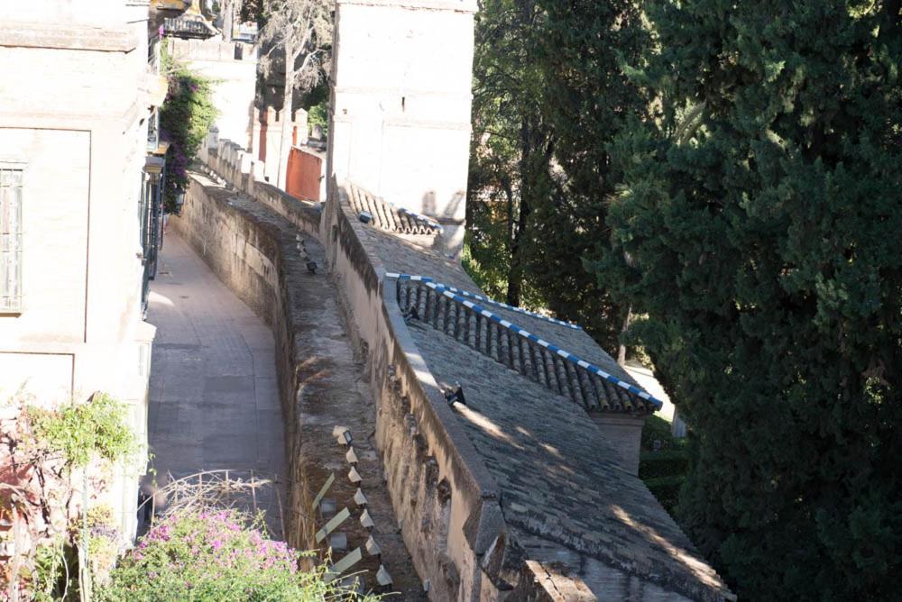 Apartamento Casa Callejon Del Agua Sevilla Buitenkant foto