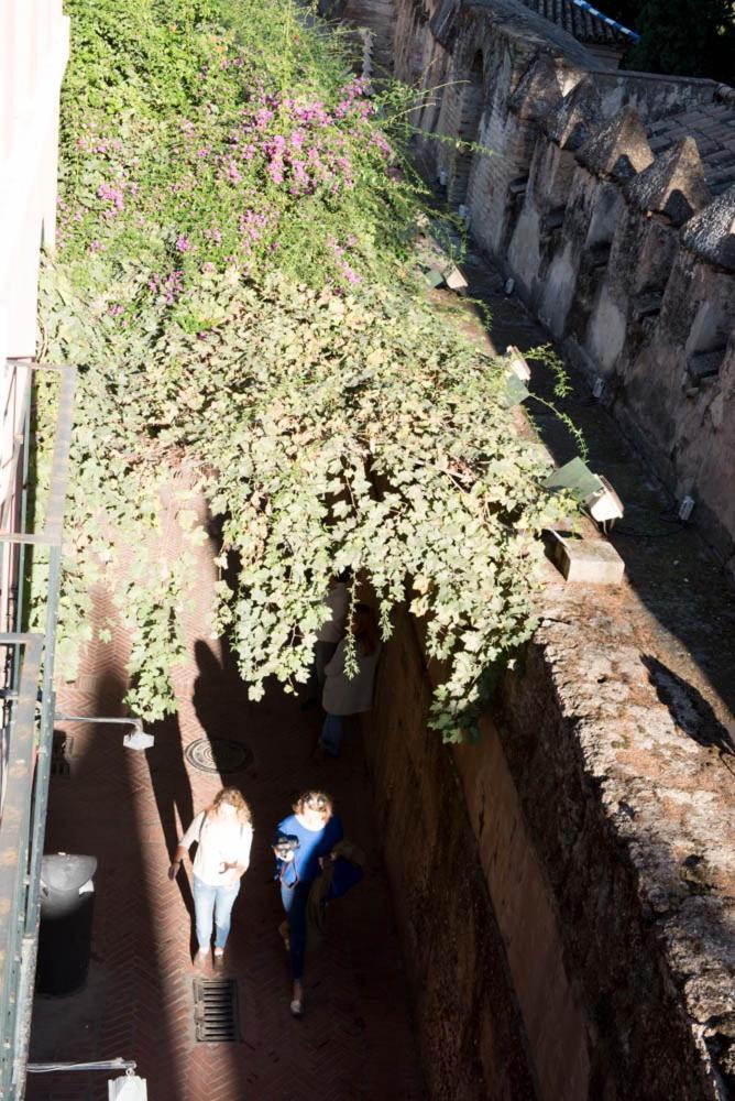 Apartamento Casa Callejon Del Agua Sevilla Buitenkant foto